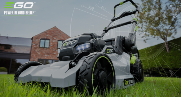 Lawn repair tips for gardens that have had a hard winter