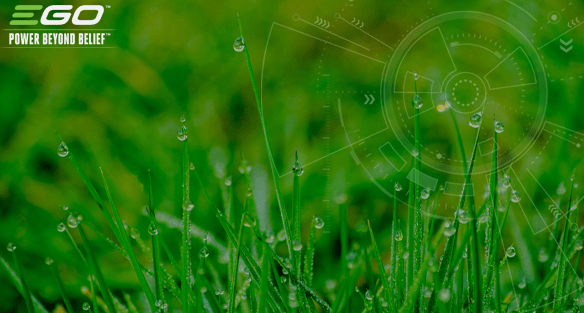 When and how to give your lawn a summer feed