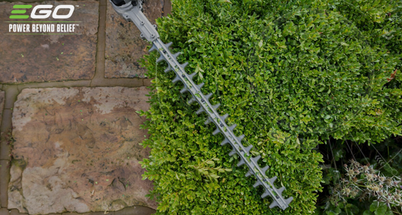 Best practice for your hedge trimming