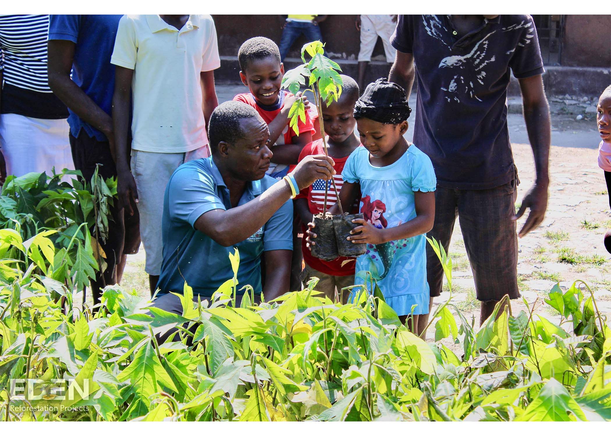 Distributing Trees in Haiti